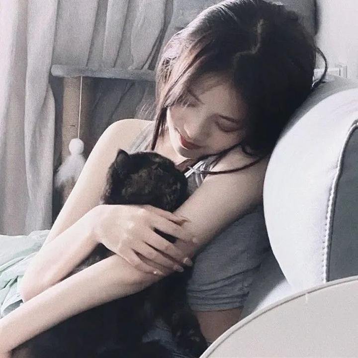 影子军队